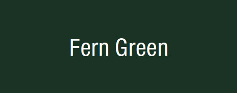 ru-13-color-fern-green